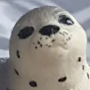 JudgeSeal