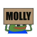molly_banner