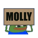 molly_banner