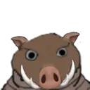 Hogstare