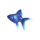 AU_bluefish