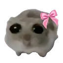 emoji_49