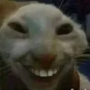 xdd