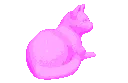 EH_aestheticpinkcat