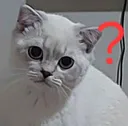 ssutlacnani