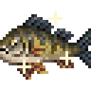 YellowPerchHighQuality