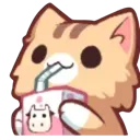 WCat_Drink WCat_Drink