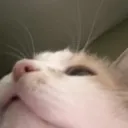whatisaboveme