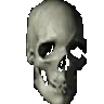 spinningskull