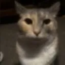 the_horror