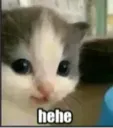 hehe