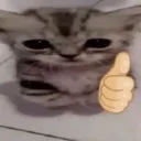cat_sadthumbsup cat_sadthumbsup