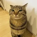 evil