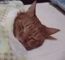 sleep