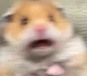 Fear1