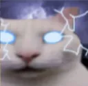 nh_lowtierCat
