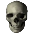 skulle