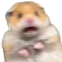HamsterPanic