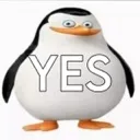 yes