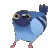 pigeondance pigeondance