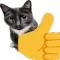 GG_gatolike