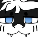 Shork