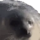 sealLeave
