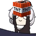 TeriTnT