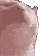ZoomVibeCat