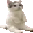 mos_kitty_sitty