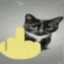 FUcat