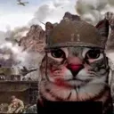 catsoldier