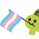 LGBTTransTurtle LGBTTransTurtle