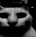 whathaveyoudone whathaveyoudone