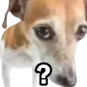 hey