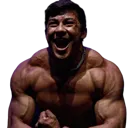 TogiFlex