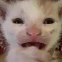 emoji_50