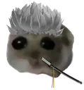 hamster_verg hamster_verg