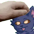 pet_pipo