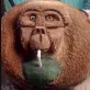monkecoconut