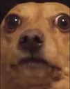 646d8bf5a4b2dc031d9e7d04124aafdd