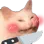 MEME_YandereCat