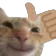 catthumbs