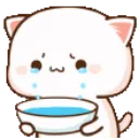 :catcry: