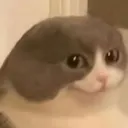 CatNyehehe CatNyehehe