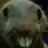 xddteeth