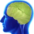 cabbagewoke