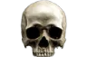 Skull4k