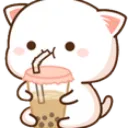CatBobaSip