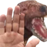 pogdogSTOP